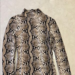 Reptile Patterned Pet Apparel